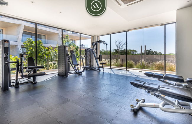 Mistiq in Cabo San Lucas BCS - Foto 5