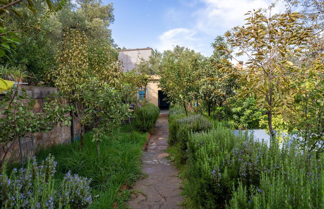 Dar Assounfou - Foto 22