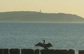 Ferienwohnung Rügen-Freiheit - Foto 31