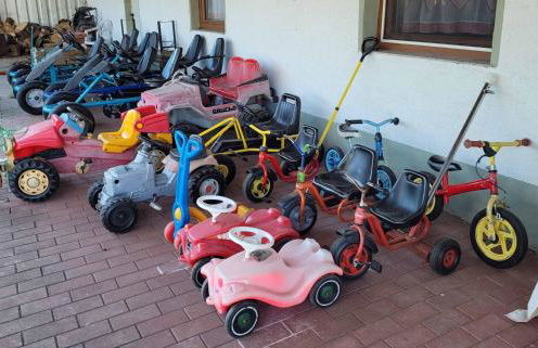 Bauernhof Nißl - Foto 57