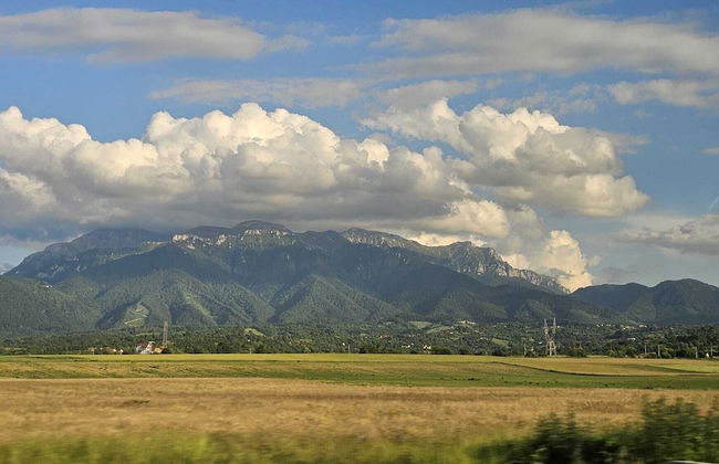 Vino Chalets - Foto 40