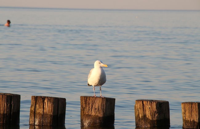 Relaxing Retreat by Poel Beach - Foto 39