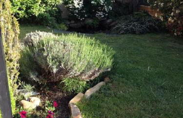 Los Rosales de Venturada - Foto 6