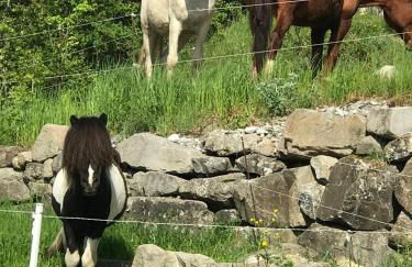 Gîtes Belle Vue - Photo 46