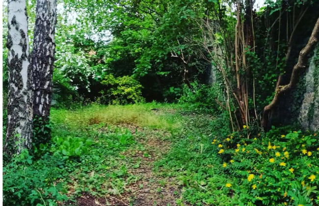 La Belle Vigne - Namur - Foto 36