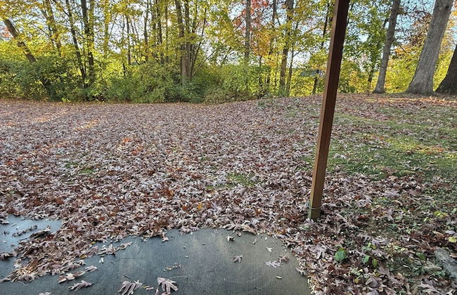 PSU Properties - Foto 15