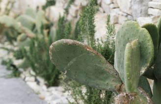 Benessere - Foto 12