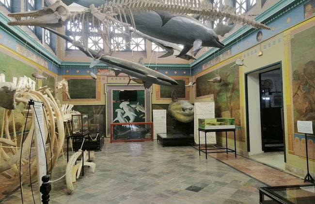 La Perle Bleue - Foto 30