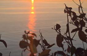 La Terrazza di Rovaglioso - Foto 52