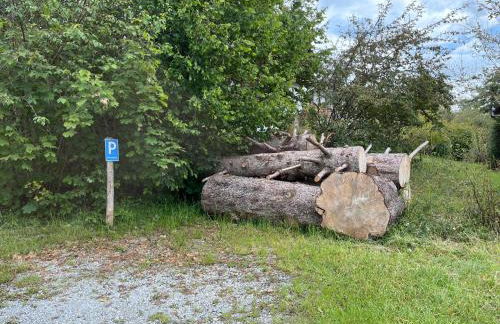 Apartement Hintere Schöne - Foto 16