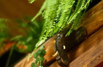 Propriedade inteira e Kombi-home em meio à mata - Foto 13