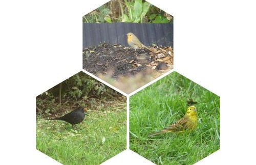 Biosphärenzimmer Bad Urach - Photo 9