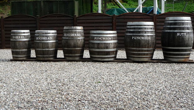 Stirling Castle, Loch Lomond and Cruise - Small Group Tour - Photo 5