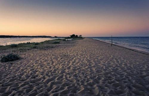 Belle villa au Cap Ferret Quartier MIMBEAU - Foto 28