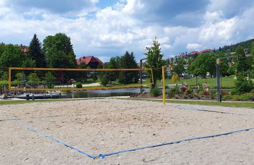 Black Forest Schwarzwaldliebe Pool Sauna Tennis Tischtennis Wifi Prime Tv Natur - Foto 38