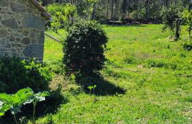 Casa Pandeiras - Foto 28