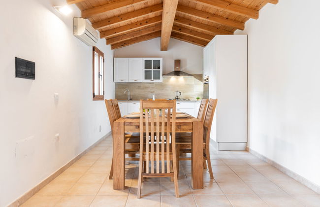 Eucalipto - Photo 14