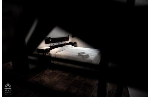 Almojanda 3 olive tree - Foto 39