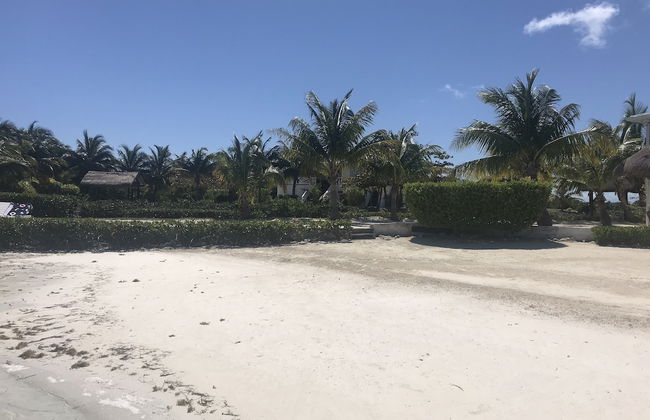 Shaka Caye - Photo 63