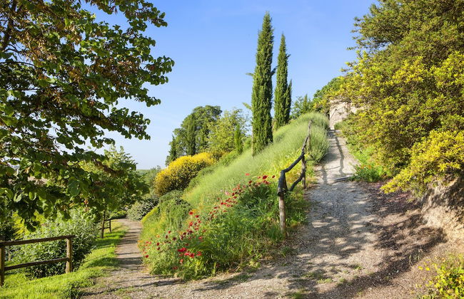 Relais Di Tenuta Santa Caterina - Foto 44