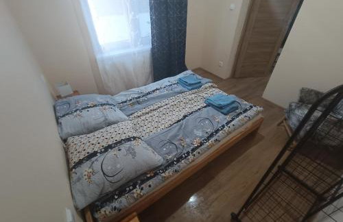 Apartamenty Lubkowo - Foto 11