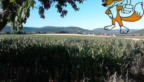 Monteurwohnung Langelsheim max 5 Personen - Foto 2