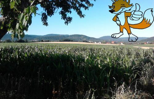 Monteurwohnung Langelsheim max 5 Personen - Foto 1