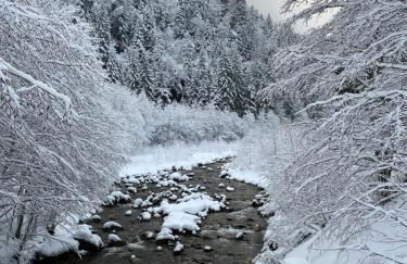 les Cimes d'Or Mont blanc - Photo 28