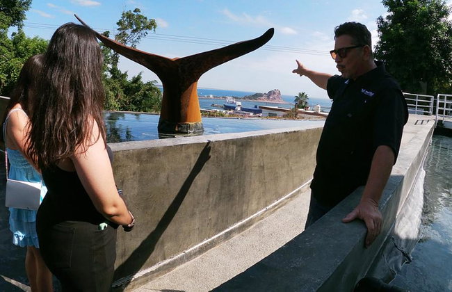 Munba: Museo Nacional de la Ballena - Tour - Foto 3