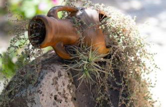 Resonance Experience - Villa Escape Surrounded by Nature & Ancient Sites - Photo 55