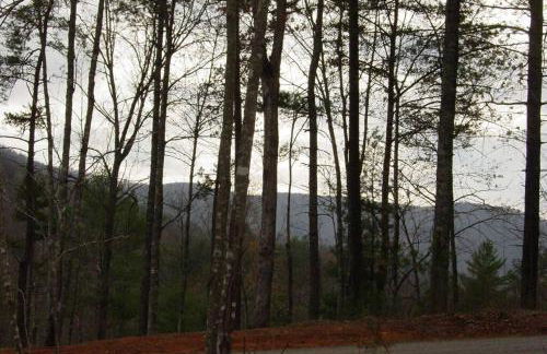 Cherokee Dream Mountain Lodge - Foto 1