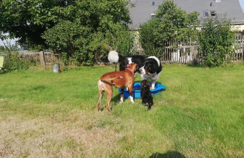 Ferienhof Höhensonne - Foto 3