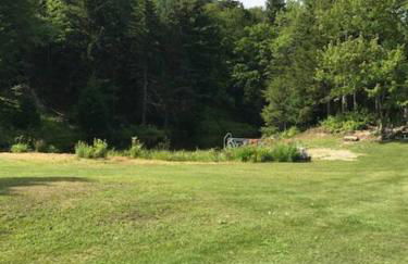 The Hunter Cabin at Sky Hollow - Foto 41