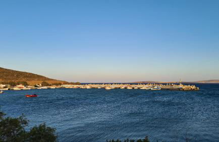 Olivar Suites - Photo 35