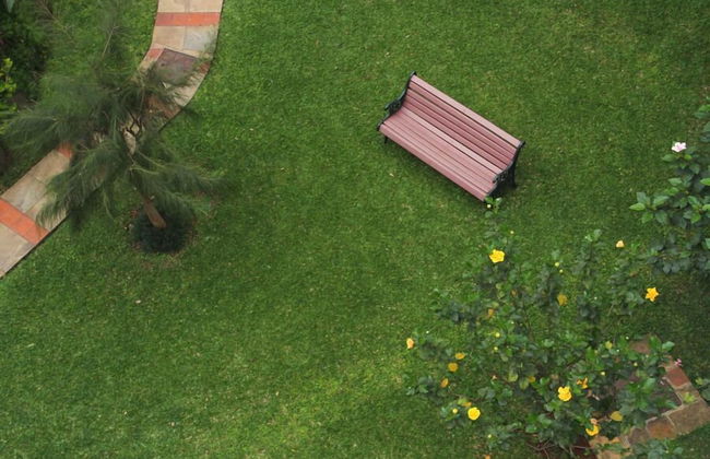 Mimosa Court Apartments - Foto 62