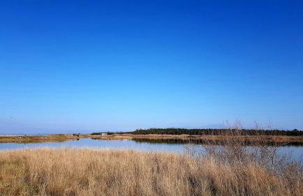 Villa Jolanta - Foto 26