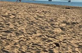 La possibilité d’une île - Foto 11