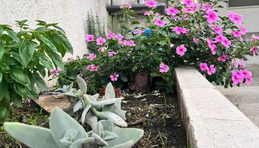 Casa vacanze Metauria - Foto 5