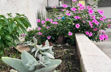 Casa vacanze Metauria - Foto 5