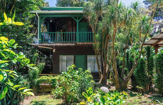 Violeta Homes Monteverde - Foto 24