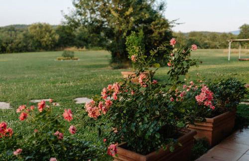 Il Casale delle Rose - Foto 41