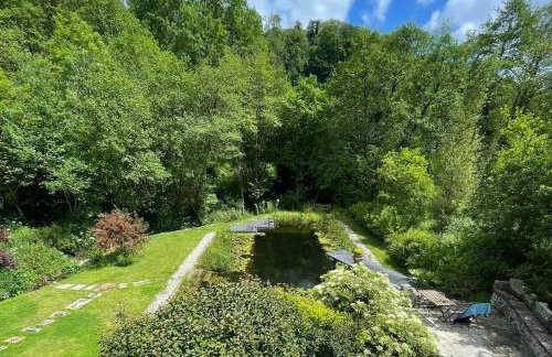 Idyllic country house & organic swim pond - Photo 42