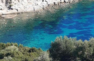 Studio Wilem - Foto 47