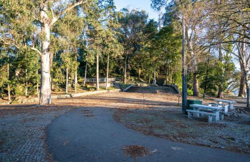 Quinta das Lamas - Antiga Adega - Foto 47