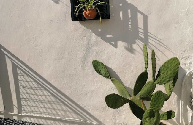 Casa dei Nonni - Foto 30