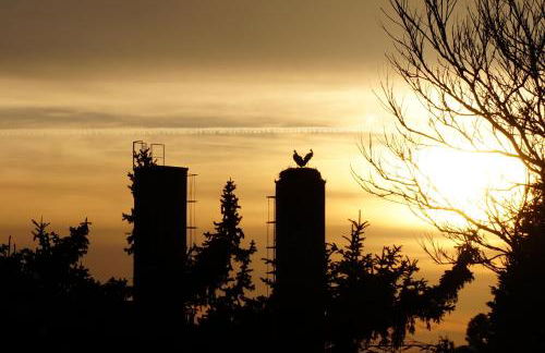 BluGarden Ferienapartments im Spreewald - Foto 12