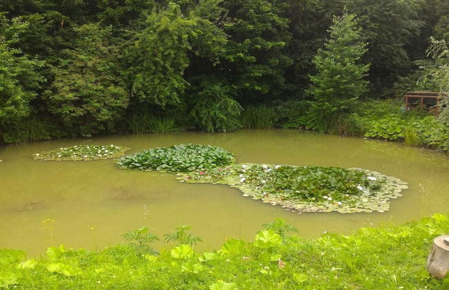 Turbaza Serebryany Klyuch - Photo 40