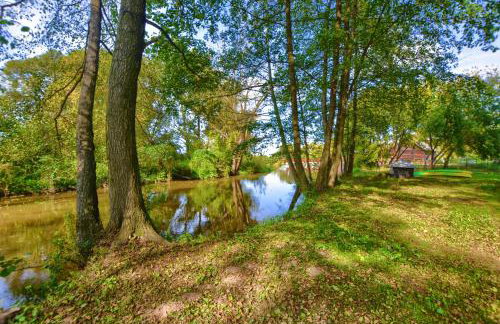 Agroturystyka domki nad rzeką Bałtów kajaki rowery klima basen ryby full - Foto 14
