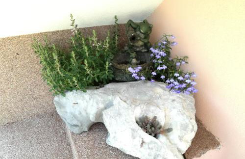 Apartman Mimi - Foto 23