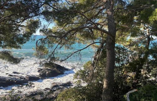 Una finestra sul mare 1 - A window on the sea 1 - Nervi - Genoa - Foto 47